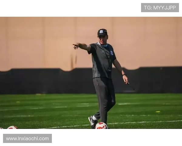 申花外援依赖问题显现，进攻多样性受制约，影响赛季表现稳定性